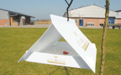 Nove mogućnosti potpora za višegodišnje nasade