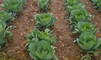 Superfifty – Rješenje za vremenske nepogode!